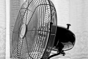 Comparing Ceiling Fans, Pedestal Fans, Table Fans and Coolers – which one is more efficient?