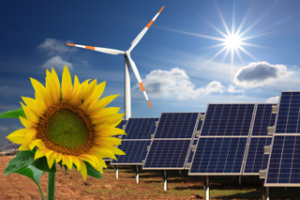 Renewable energy or Green Power: What is it, its types and sources